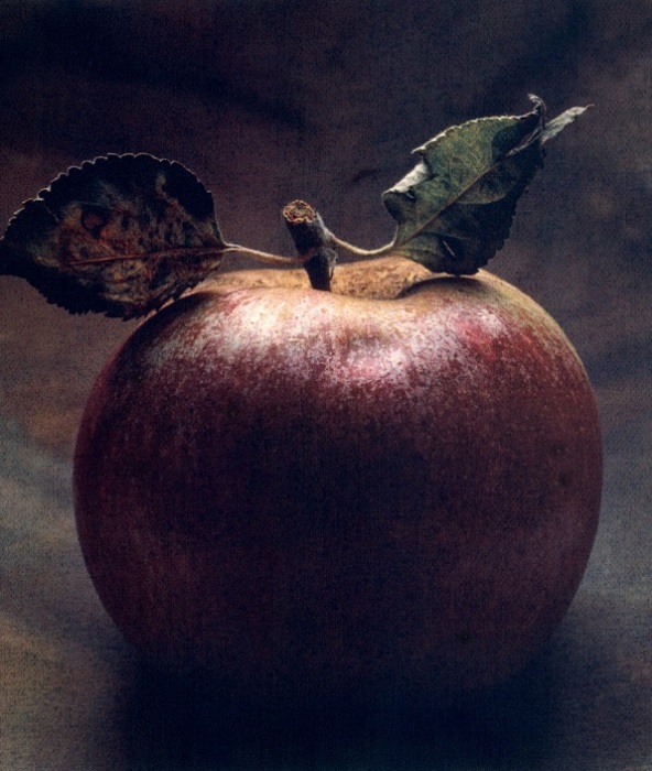 Адам и Ева съели яблоко. | Фото: cydecosse.com.
