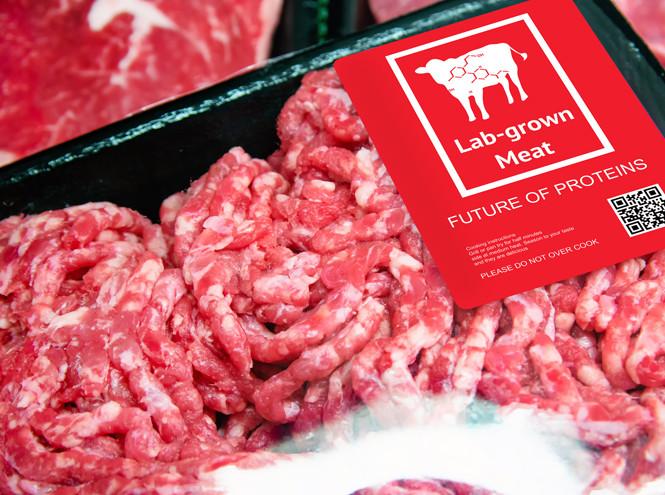 Мясо будущего. \ Фото: klevo.net.