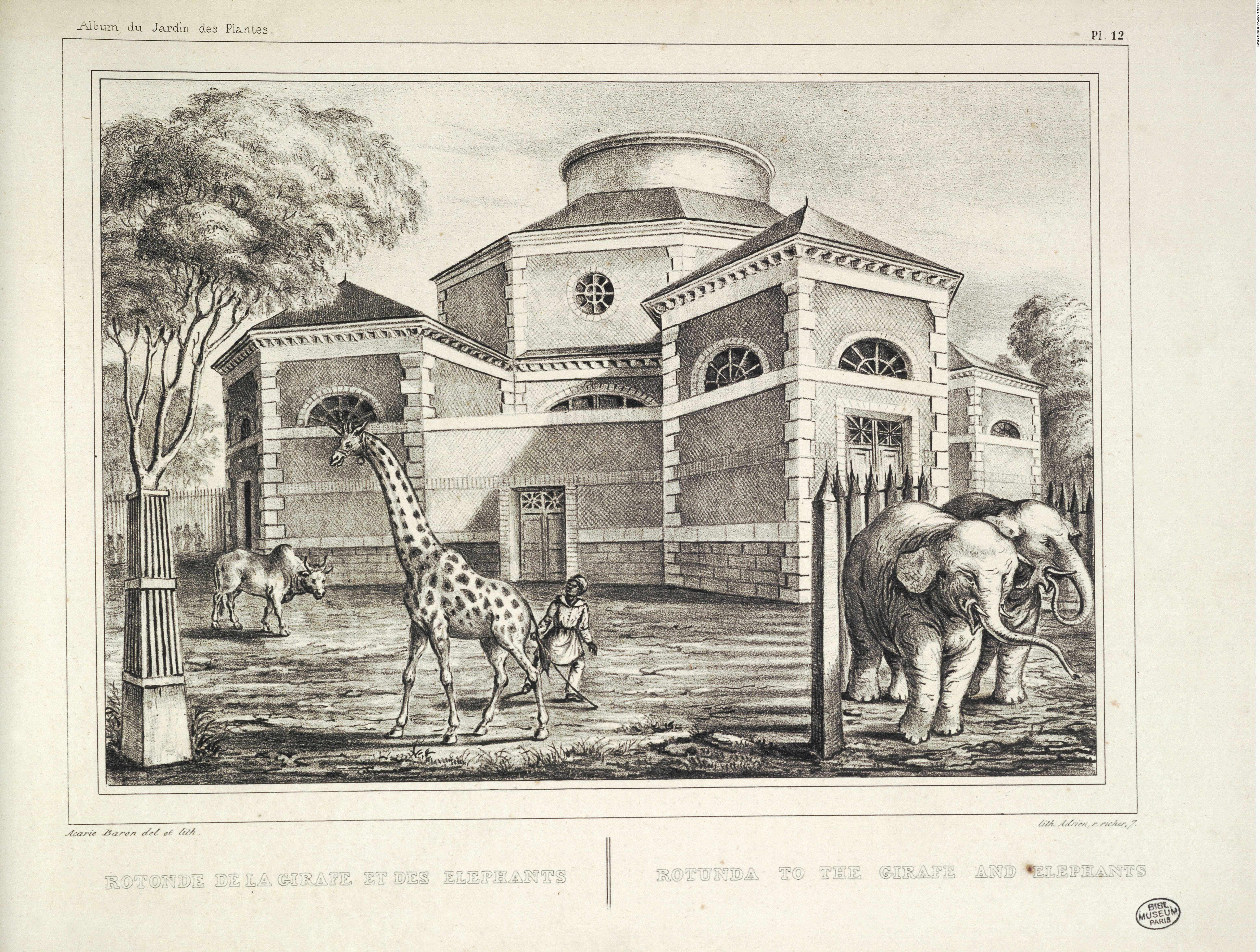 Зверинцы быстро стали популярными среди знати.