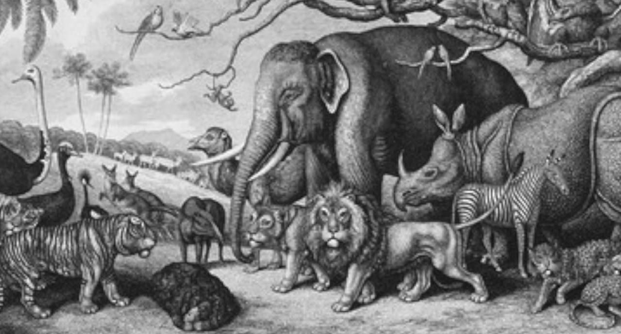 Королевский зверинец, Тауэр.