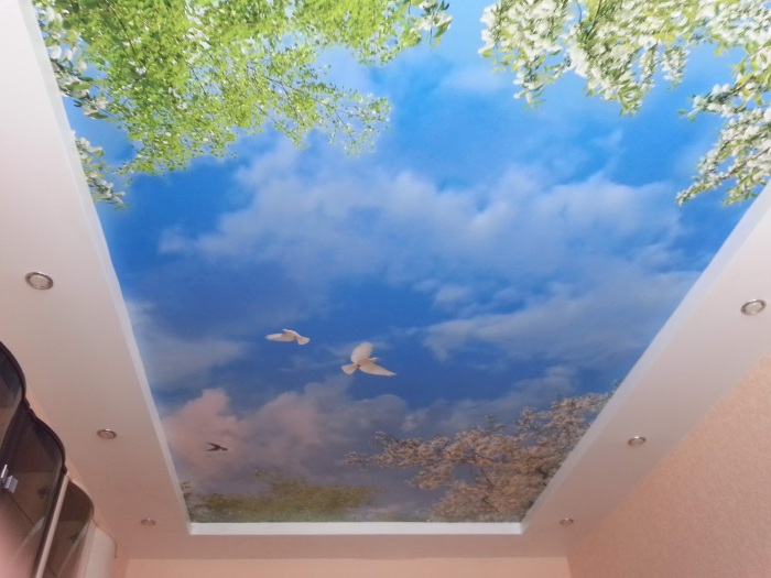 Натяжной потолок с изображением неба. \ Фото: sl.aviarydecor.com.