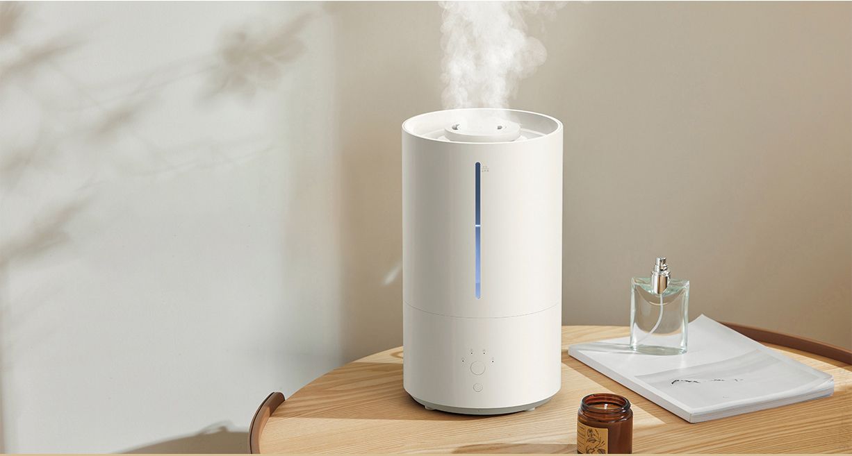 По возможности приобретите увлажнитель воздуха. \ Фото: carousell.sg. По возможности приобретите увлажнитель воздуха. \ Фото: carousell.sg.