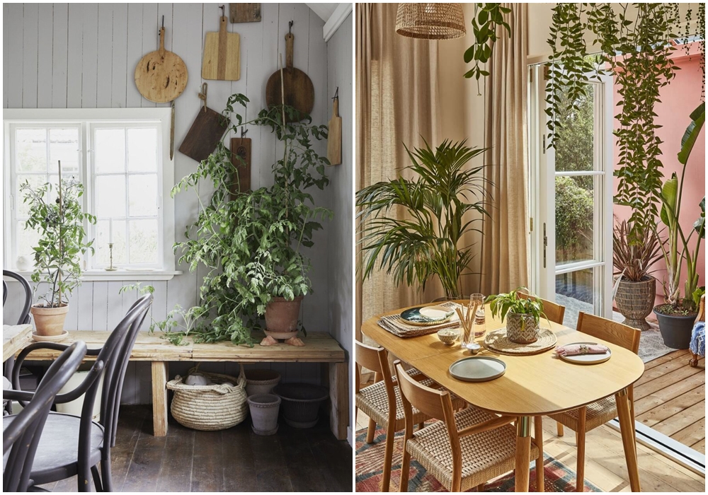 Добавьте в интерьер растения.