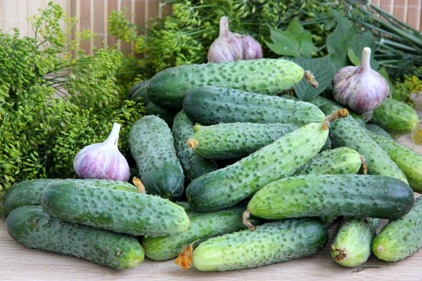 Гибридные сорта - универсальны и подходят для различных способов употребления.