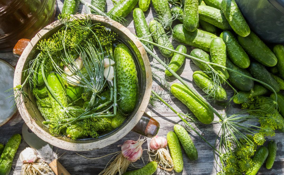 Хрустящие и ароматные огурчики.