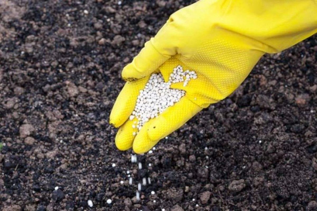 Лишними не будут и биопрепараты.