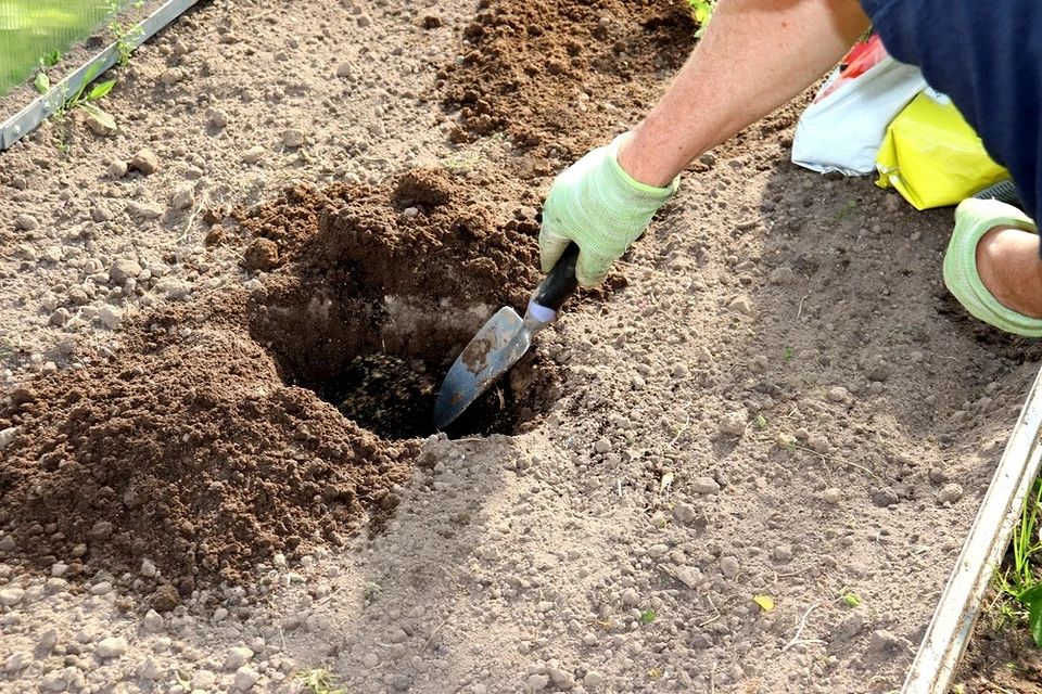 Удобряйте с умом.