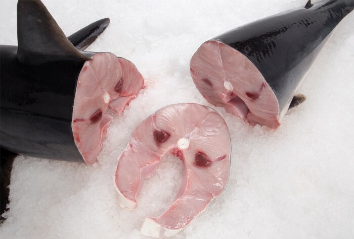 Мясо акулы. \ Фото: citarella.com.