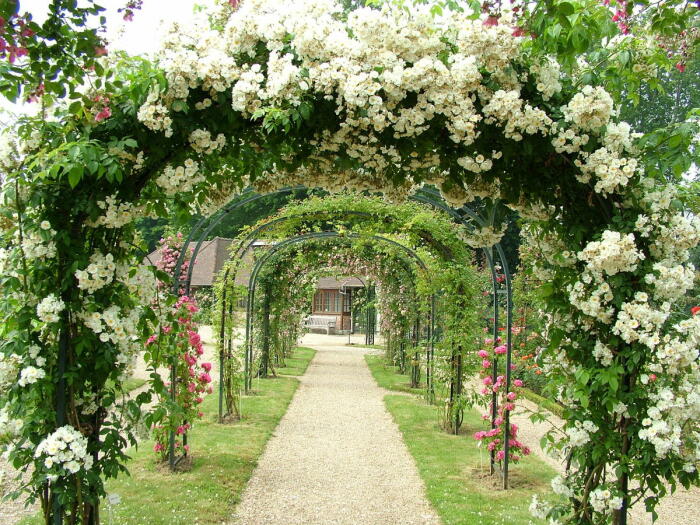 Соорудить садовую арку можно из абсолютно любого материала. \ Фото: bing.com.