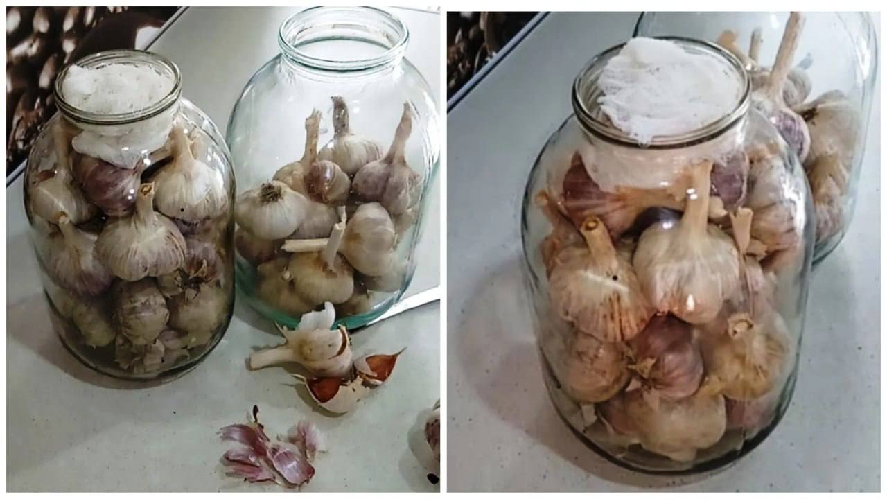 Такой способ чистки чеснока считается весьма эффективным.