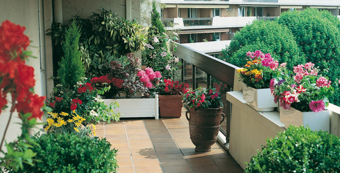 Хвойные и другие растения на балконе. \ Фото: portaledelverde.it.