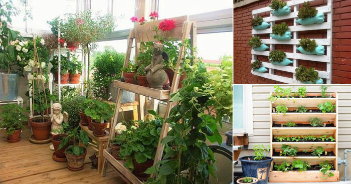 Озеленение балкона своими руками ландшафтный дизайн вертикальное озеленение - советы и идеи