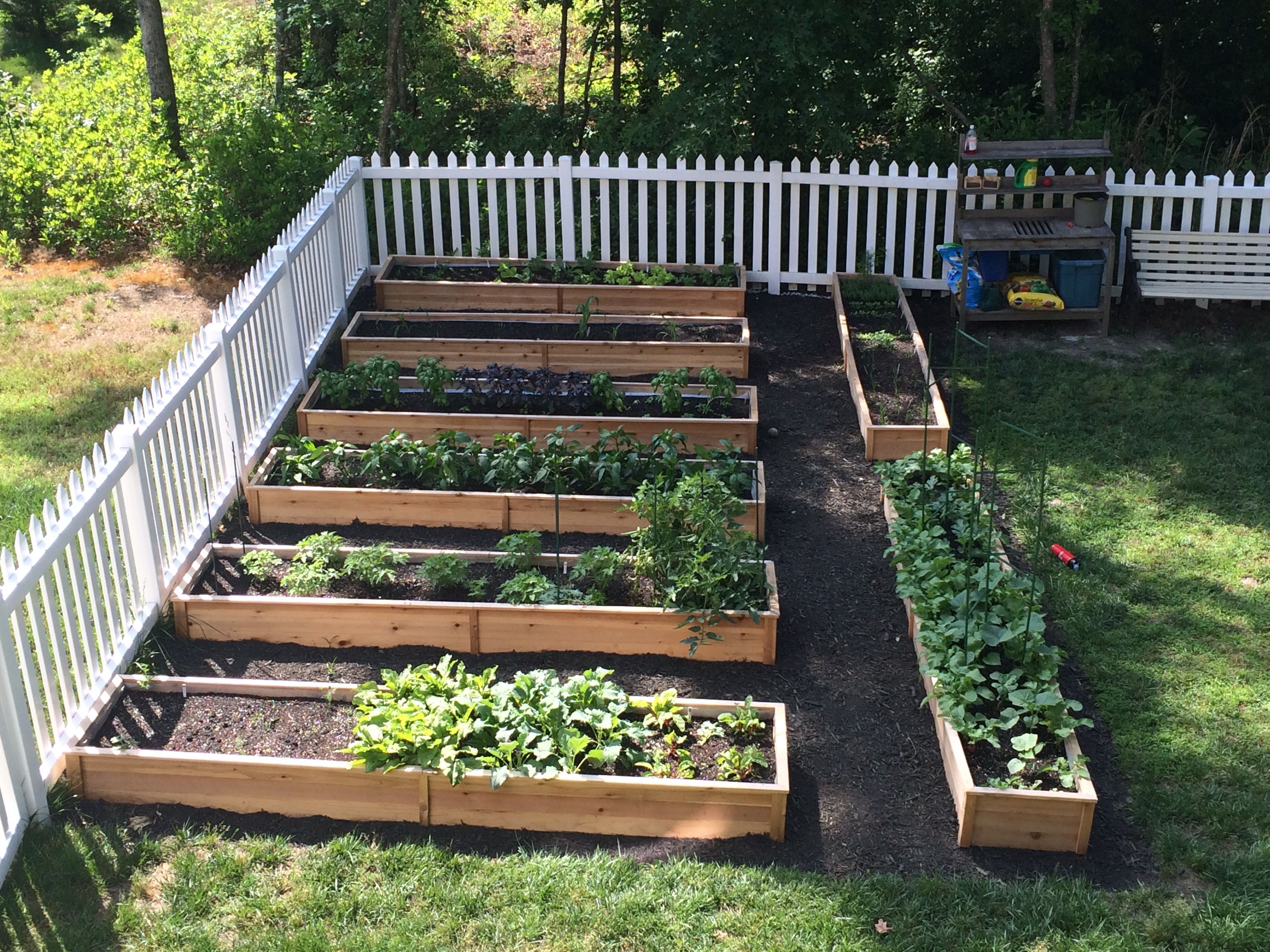 Выращивать на таких грядках можно что угодно.