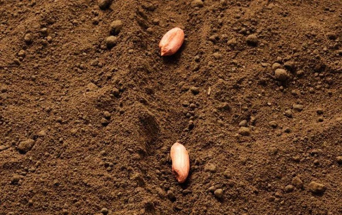 Подготовьте всё заранее для посадки. Подготовьте всё заранее для посадки.