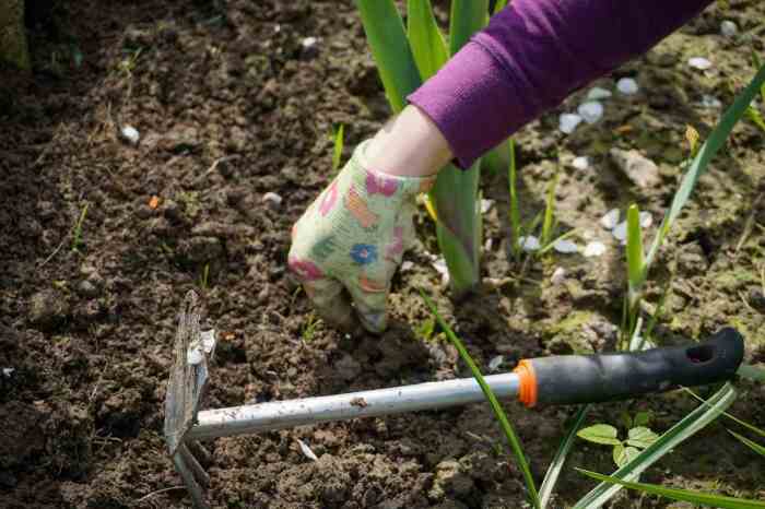 Подготовка почвы. \ Фото: gardeningtips.in.