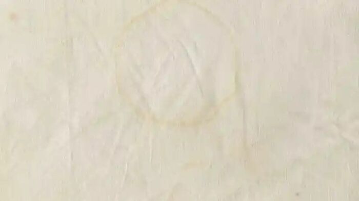 Также можно воспользоваться подходящим пятновыводителем. \ Фото: s1.elespanol.com.