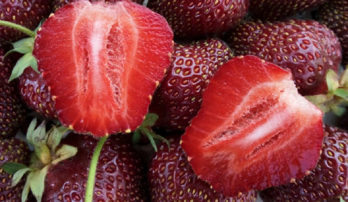 Сорт клубники чёрный лебедь подходит для Урала и Сибири. \ Фото: google.com.