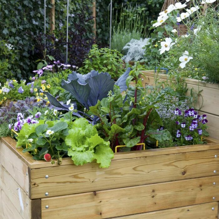 Сочетайте идеи небольшого огорода с цветами. \ Фото: pinterest.com.