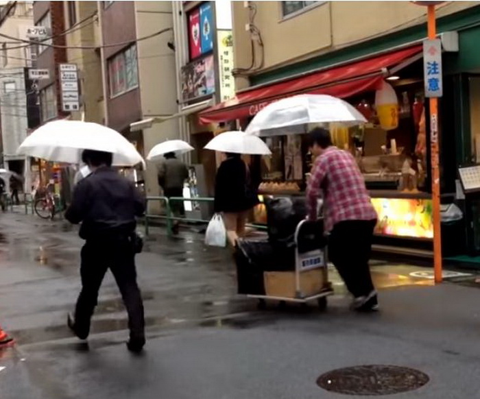 Прозрачные зонты очень популярны в Японии.