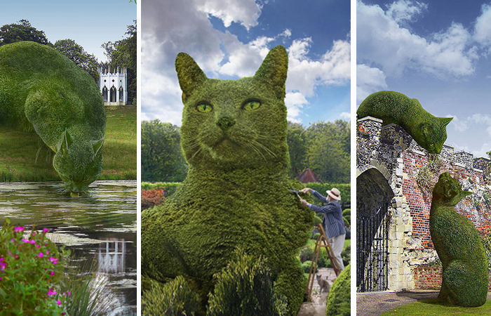Кусты в форме котов в парках Великобритании.