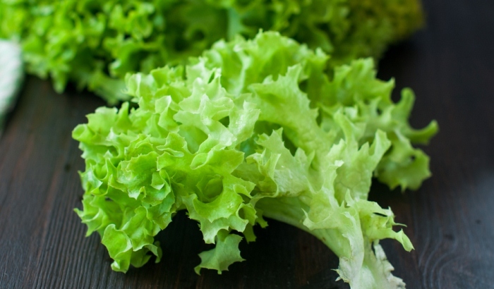 Салат латук накапливает много азотистых соединений.