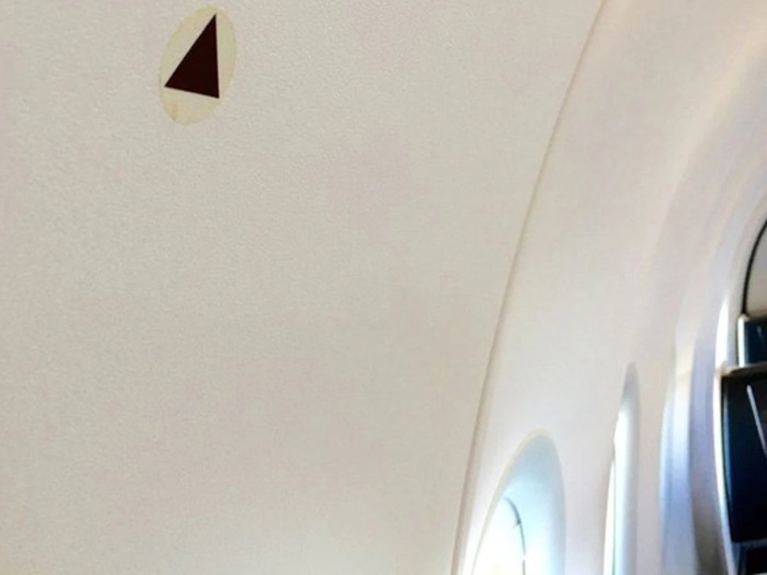 Загадочные черные треугольники над иллюминатором расположены там не зря. /Фото: elcomercio.pe