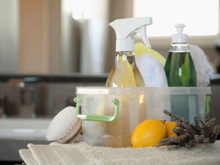 Отличный способ поддерживать в доме чистоту и приятный аромат. /Фото: gadgetreviewstoday.com