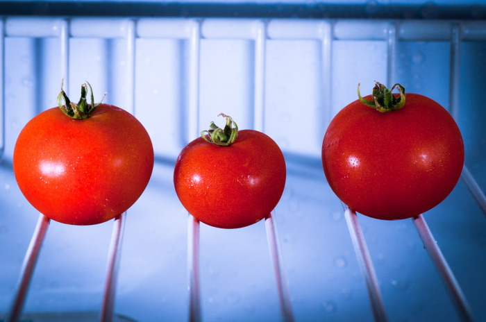 Не стоит класть помидоры в холодильник. /Фото: sciencepost.fr