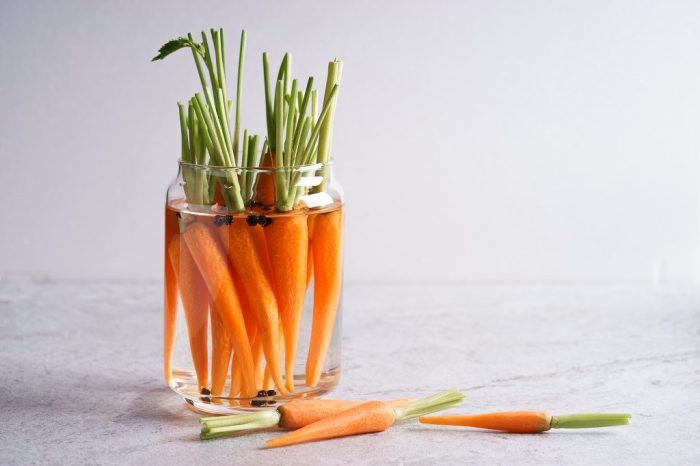 Морковь обожает воду. /Фото: svoy-dom.com.ua
