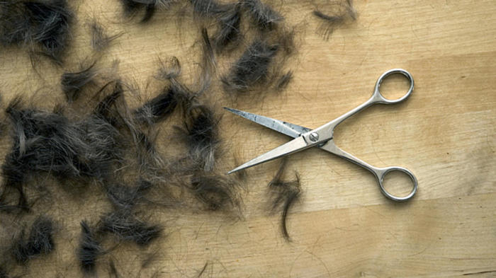Убирайте волосы при помощи веника или тряпки, пылесос тут не подойдет. /Фото: media.nbcmiami.com