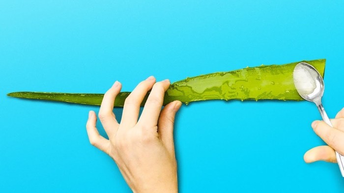 Алоэ станет отличным помощником в борьбе с целлюлитом. /Фото: i.ytimg.com