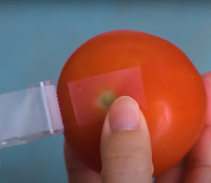 Простой лайфхак помогает подольше сохранить помидоры свежими. /Фото: youtube.com