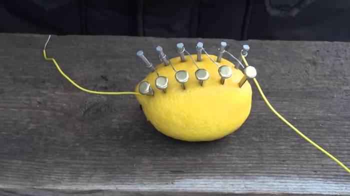 Благодаря такой несложной подготовке лимон сможет проводить примерно 5 вольт электроэнергии. /Фото: i.ytimg.com