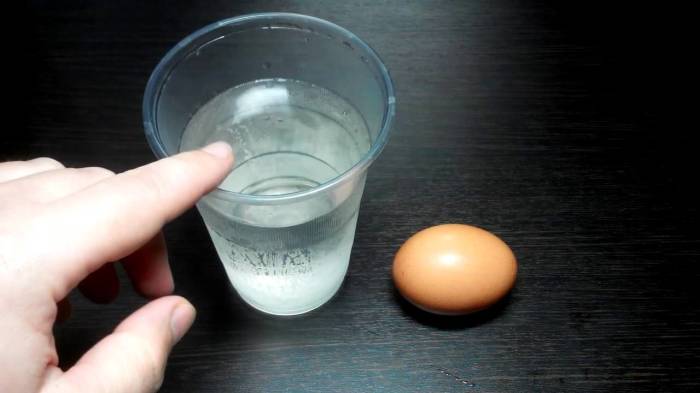 Простой способ узнать, испортилось ли яйцо. /Фото: i.ytimg.com