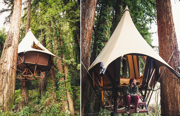 Treewalker – первый дом-палатка на дереве.