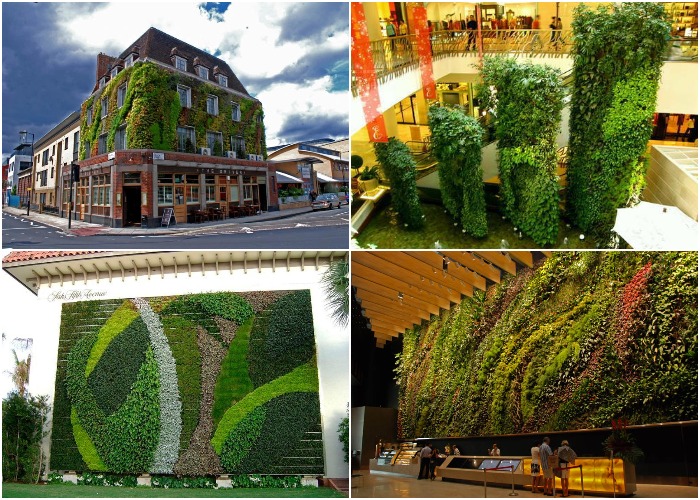 «Живые» фасады от Патрика Блана, который заставил расти траву и цветы на вертикальных поверхностях. 