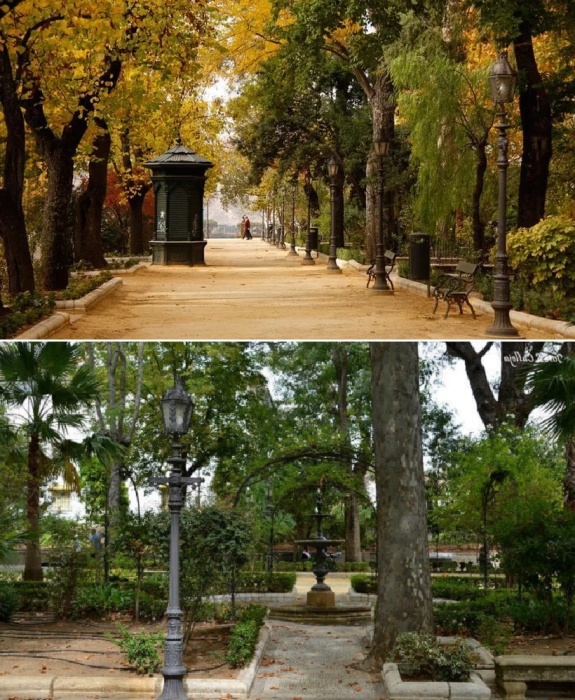 Ботанический сад Alameda Del Tajo – место где можно наслаждаться красотой природы и спрятаться от изнуряющей жары (Ронда, Испания).