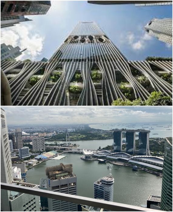На крыше здания оформлена самая высокая смотровая площадка Сингапура, откуда открывается восхитительный вид на панораму города (CapitaSpring).