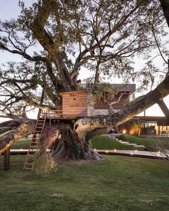 Домик на дереве поможет реализовать детские мечты, не навредив самому растению (Casa Da Figueira, Бразилия). | Фото: amazingarchitecture.com.