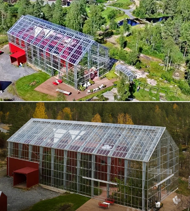 The Greenhouse Home органично вписывается в природный пейзаж.