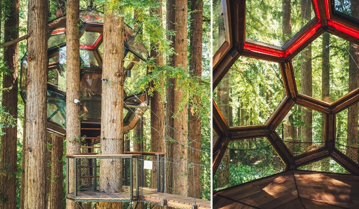 «Хрустальный шар» может стать идеальной спальней (Redwood Ripple). «Хрустальный шар» может стать идеальной спальней (Redwood Ripple).