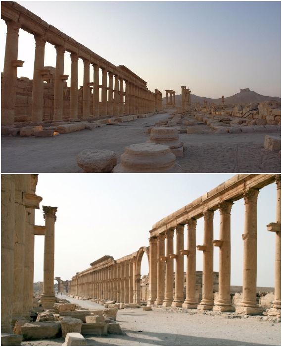 Колоннада, ограждающая главную улицу Пальмиры, состояла из 375 колонн высотой 9,5 метров каждая (Сирия).