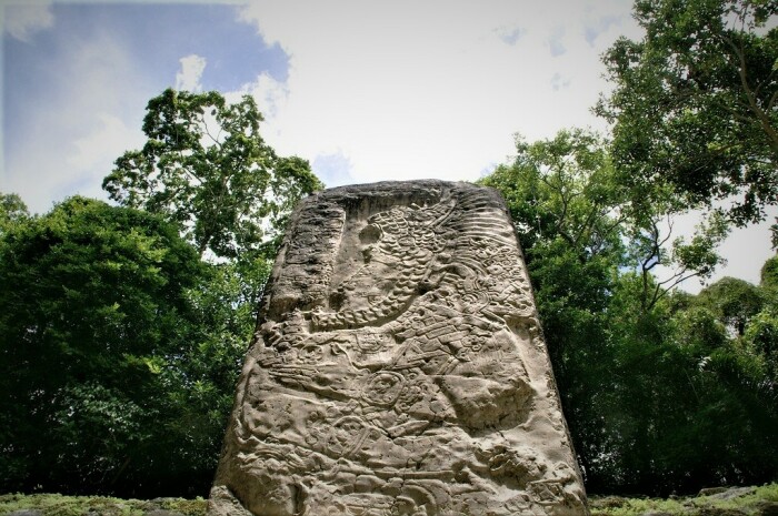 На территории города было обнаружено несколько стел, вырезанных из камня в разные периоды истории (Lamanai, Белиз). | Фото: our-civilization.com.