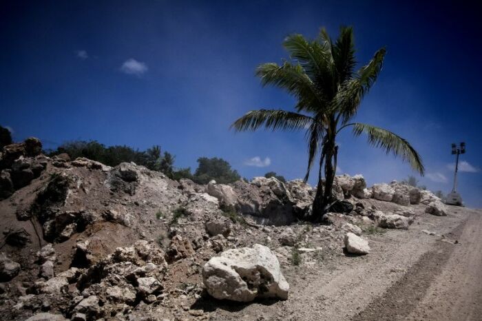 По прошествии 40 лет на некоторых участках острова начали появляться деревья (о. Науру). | Фото: nationalgeographic.com.