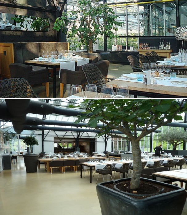 Пообедать можно в просторном светлом зале, в окружении настоящих деревьев (De Kas, Нидерланды).