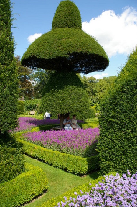 «Большой зонтик» – самое высокое дерево в саду, которое спасет посетителей и от жары, и от небольшого дождя (Левенс Холл, Великобритания). | Фото: sweetpeaandsorrel.com. 