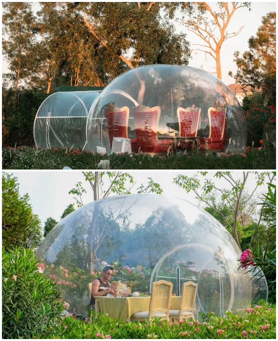 Те самые загадочные пузыри, которые обеспечат незабываемыми впечатлениями (Bubble in the forest Cafe. Тайвань).