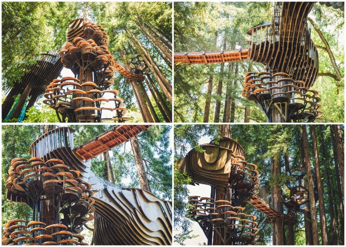 Любая деталь Redwood Ripple – настоящее произведение искусства. Любая деталь Redwood Ripple – настоящее произведение искусства.