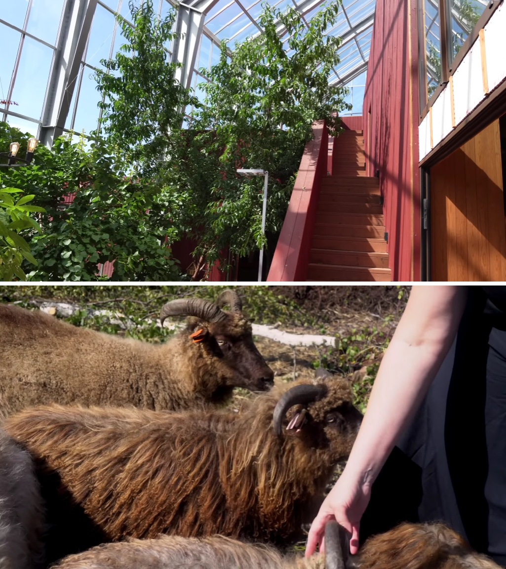 Маргит-Кристин выращиванием растений и уходом за домашними животными занимается самостоятельно.