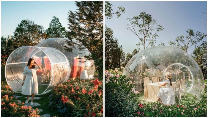 Прозрачные пузыри позволят очутиться в сказке среди благоухающего сада (Bubble in the forest Cafe. Тайвань).